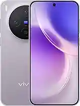vivo X300